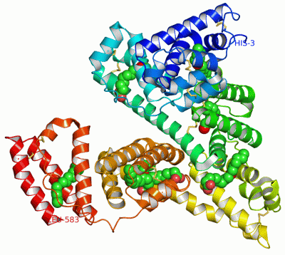 Image Asym./Biol. Unit - manually