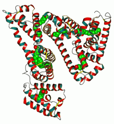 Image Asym./Biol. Unit - manually