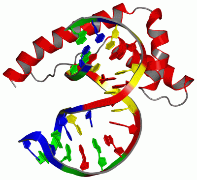 Image NMR Structure - manually