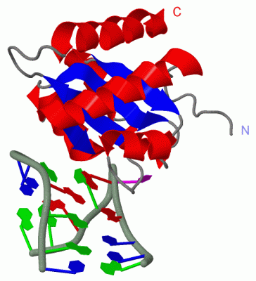 Image Biol.Unit 1 - manually