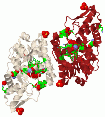 Image Biol.Unit 1 - manually