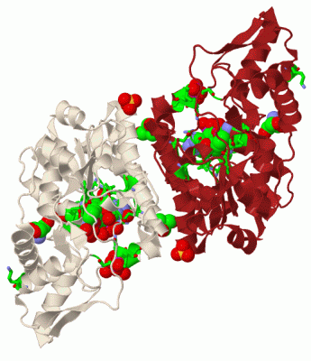 Image Biol.Unit 1 - manually