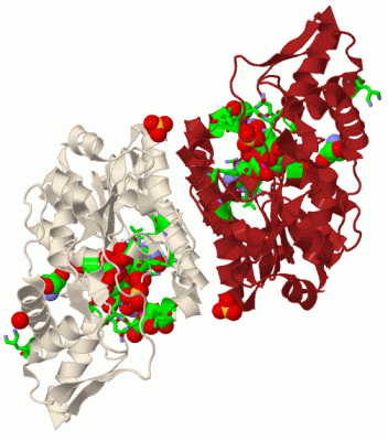 Image Biol.Unit 1 - manually