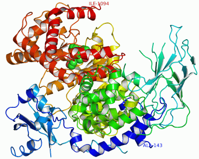 Image Asym./Biol. Unit - manually