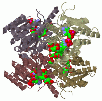 Image Biol.Unit 1 - manually