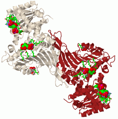 Image Biol.Unit 1 - manually