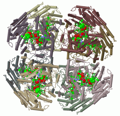 Image Biol.Unit 1 - manually