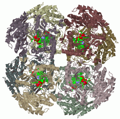 Image Biol.Unit 1 - manually