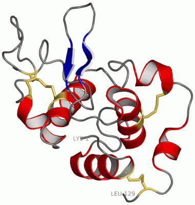 Image NMR Structure - manually