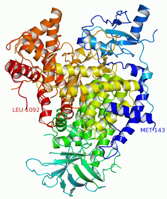 Image Asym./Biol. Unit - manually