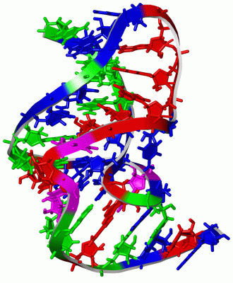 Image NMR Structure - manually