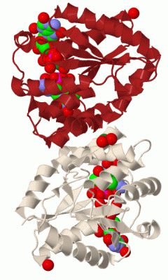 Image Biol.Unit 1 - manually