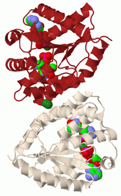 Image Biol.Unit 1 - manually