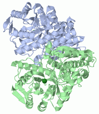 Image Biol.Unit 1 - manually