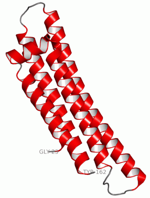 Image Asym./Biol. Unit - manually