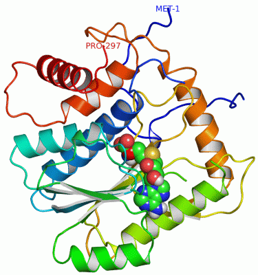 Image Asym./Biol. Unit - manually