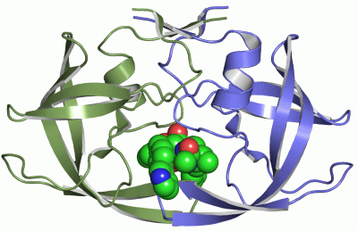 Image Asym./Biol. Unit - manually