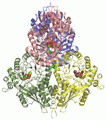 Image Asym./Biol. Unit - manually