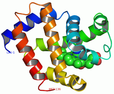 Image Asym./Biol. Unit - manually