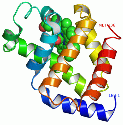 Image Asym./Biol. Unit - manually