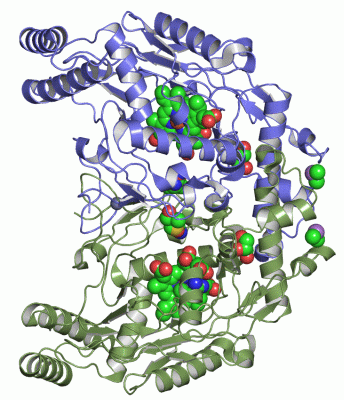 Image Asym./Biol. Unit - manually