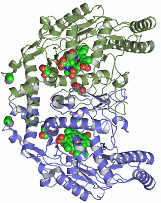 Image Asym./Biol. Unit - manually