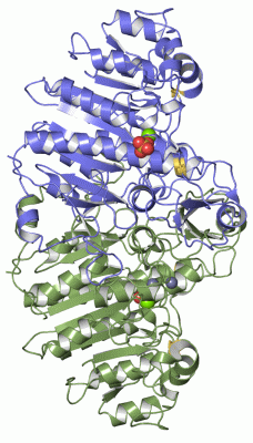 Image Asym./Biol. Unit - manually