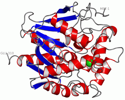 Image Asym./Biol. Unit - manually