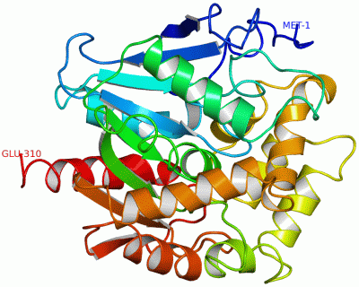 Image Asym./Biol. Unit - manually