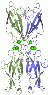 Image Asym./Biol. Unit - manually