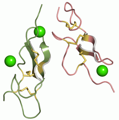 Image Asym./Biol. Unit - manually