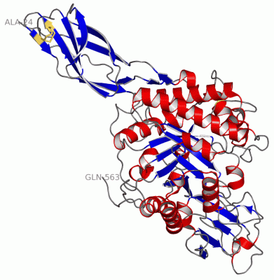 Image Asym./Biol. Unit - manually