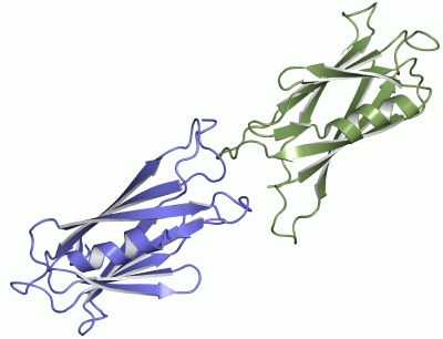 Image Asym.Unit - manually