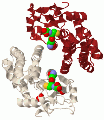 Image Biol.Unit 1 - manually