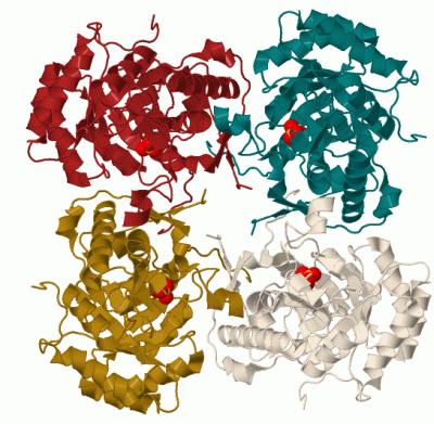 Image Biol.Unit 1 - manually