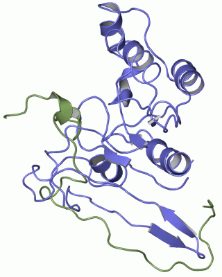 Image NMR Structure - manually