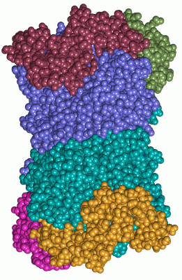 Image Asym./Biol. Unit - manually