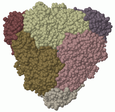 Image Biol.Unit 1 - manually