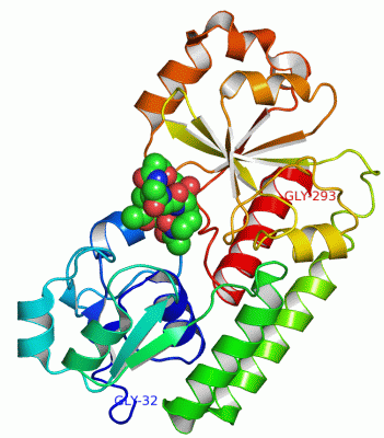 Image Asym./Biol. Unit - manually