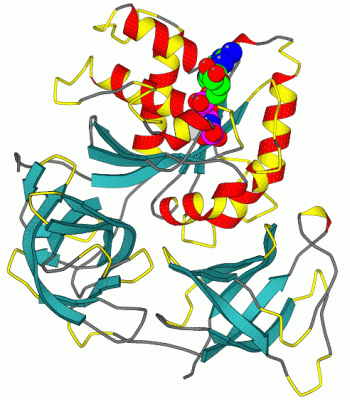 Image Asym./Biol. Unit - manually