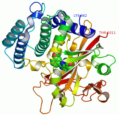 Image Asym./Biol. Unit - manually