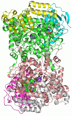 Image Asym./Biol. Unit - manually