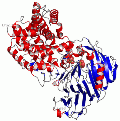 Image Asym./Biol. Unit - manually