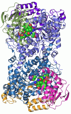 Image Asym./Biol. Unit - manually