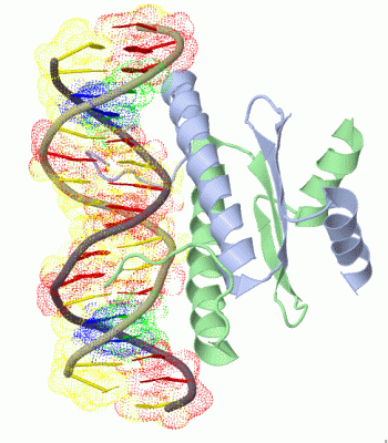 Image Biol.Unit 1 - manually