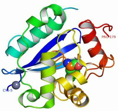 Image Asym./Biol. Unit - manually