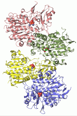 Image Asym.Unit - manually