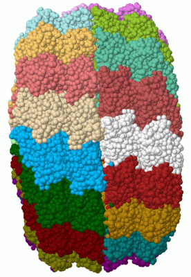 Image Biol.Unit 1 - manually