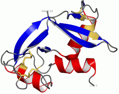 Image Asym./Biol. Unit - manually