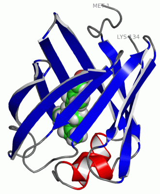 Image NMR Structure - manually